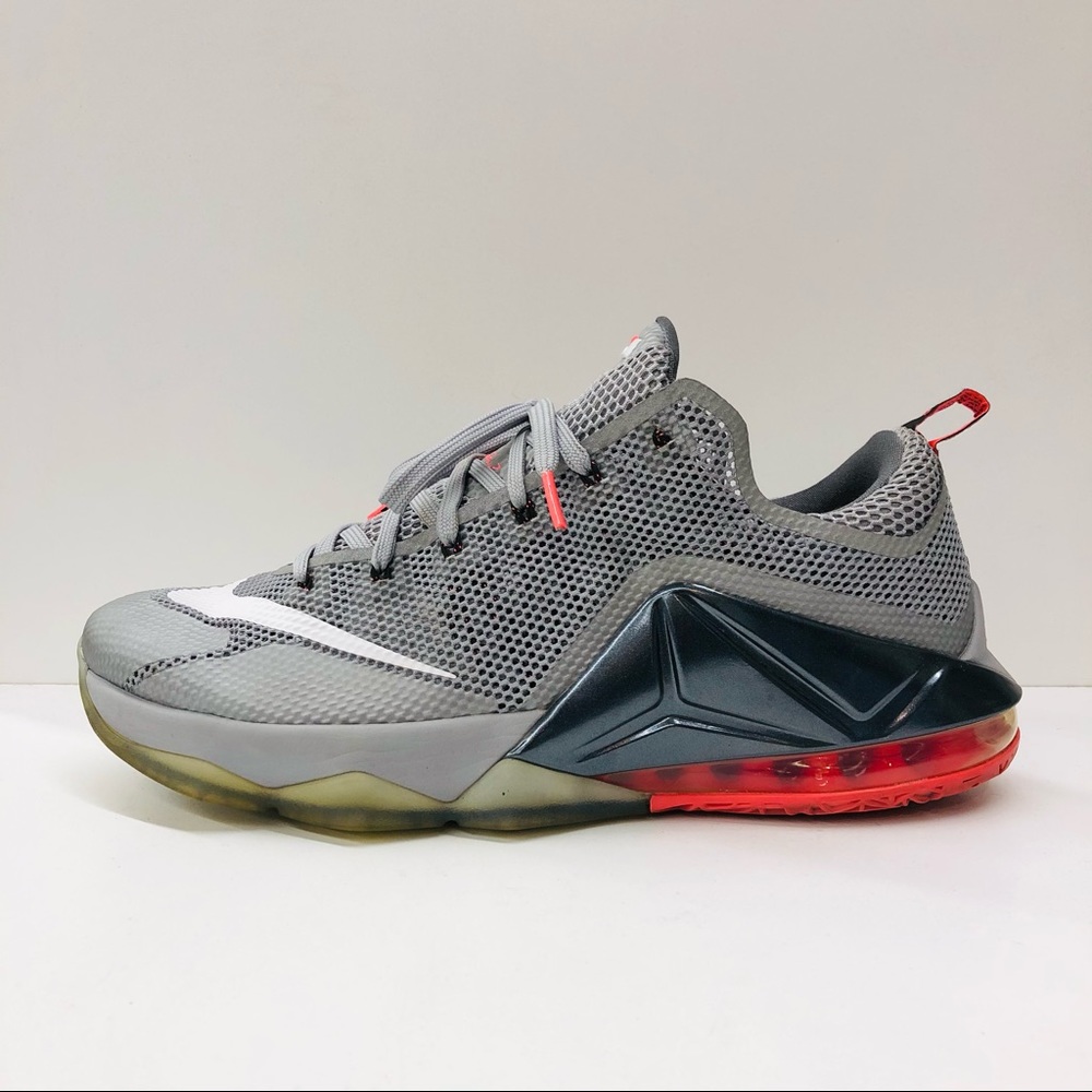 Nike Lebron 12 Earned low (13)